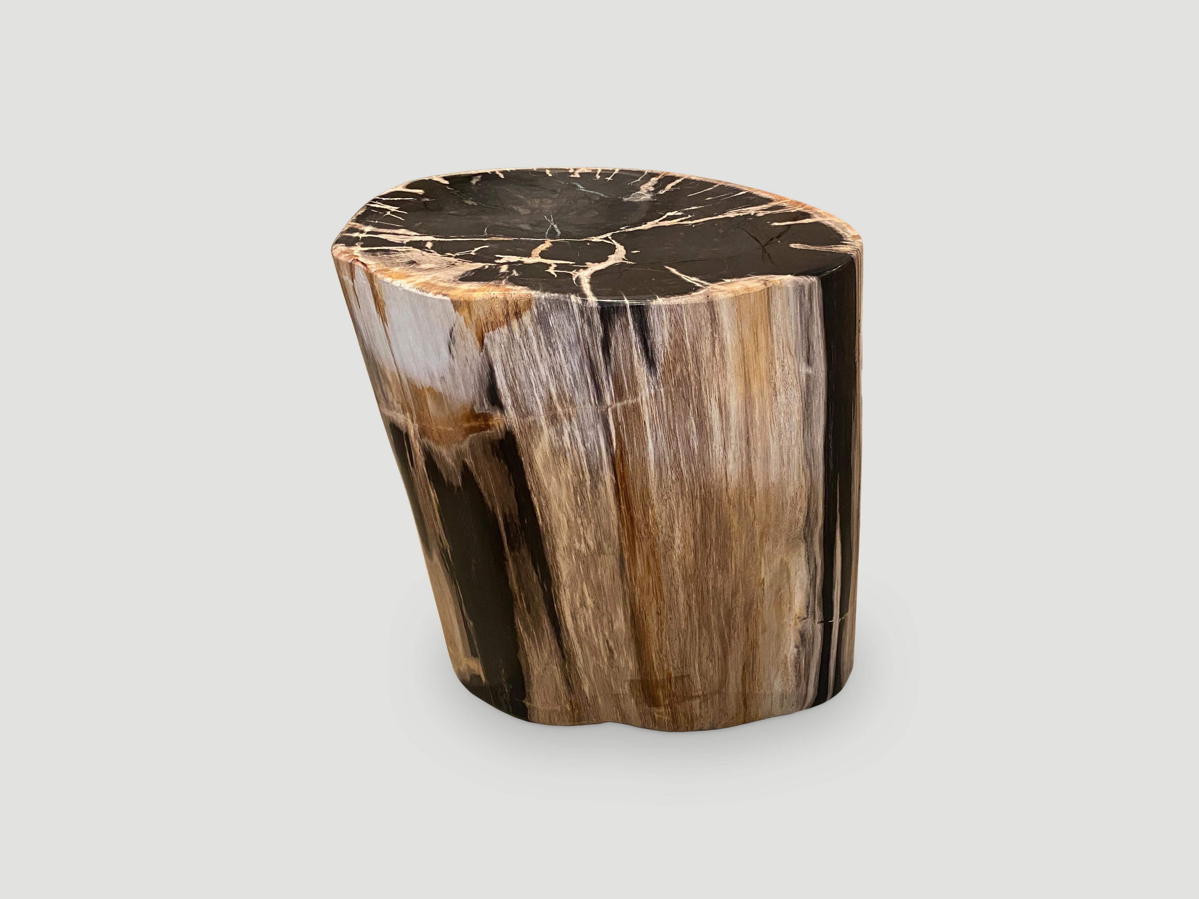 Andrianna Shamaris Impressive High Quality Petrified Wood Side Table 1