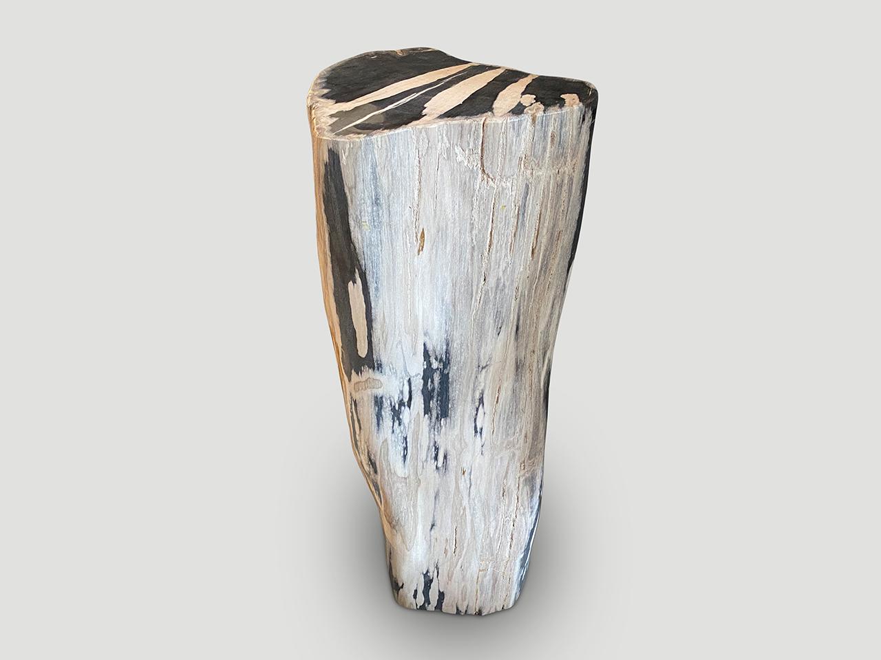 Andrianna Shamaris Impressive High Quality Petrified Wood Pedestal For Sale 2