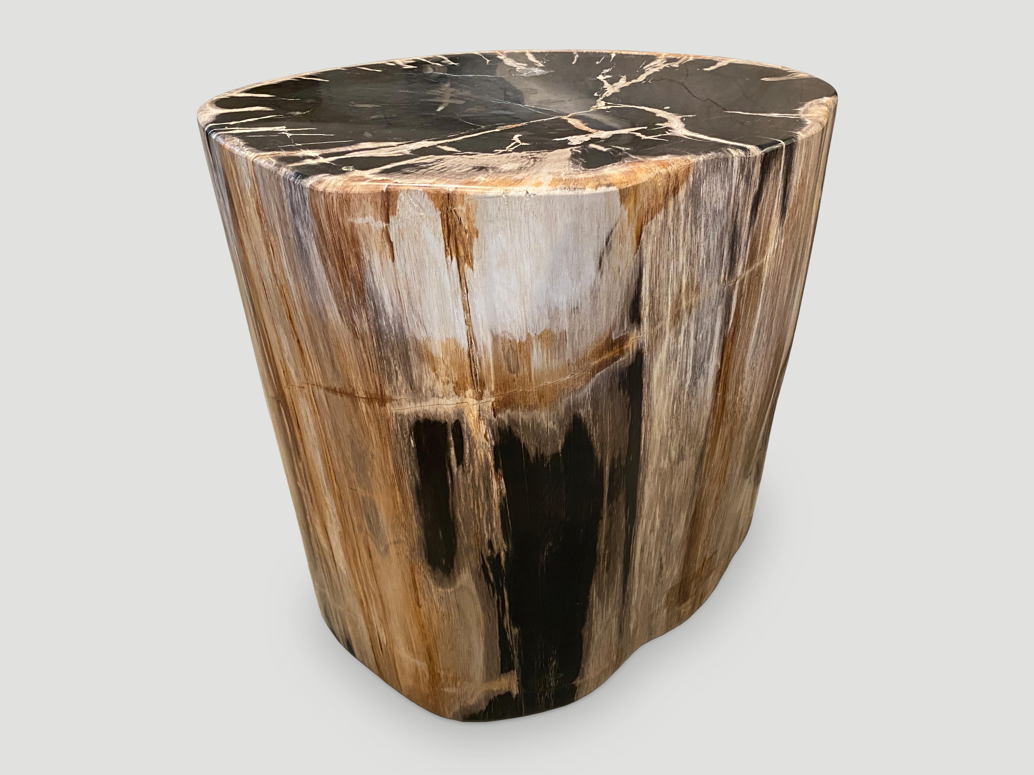 Andrianna Shamaris Impressive High Quality Petrified Wood Side Table 2
