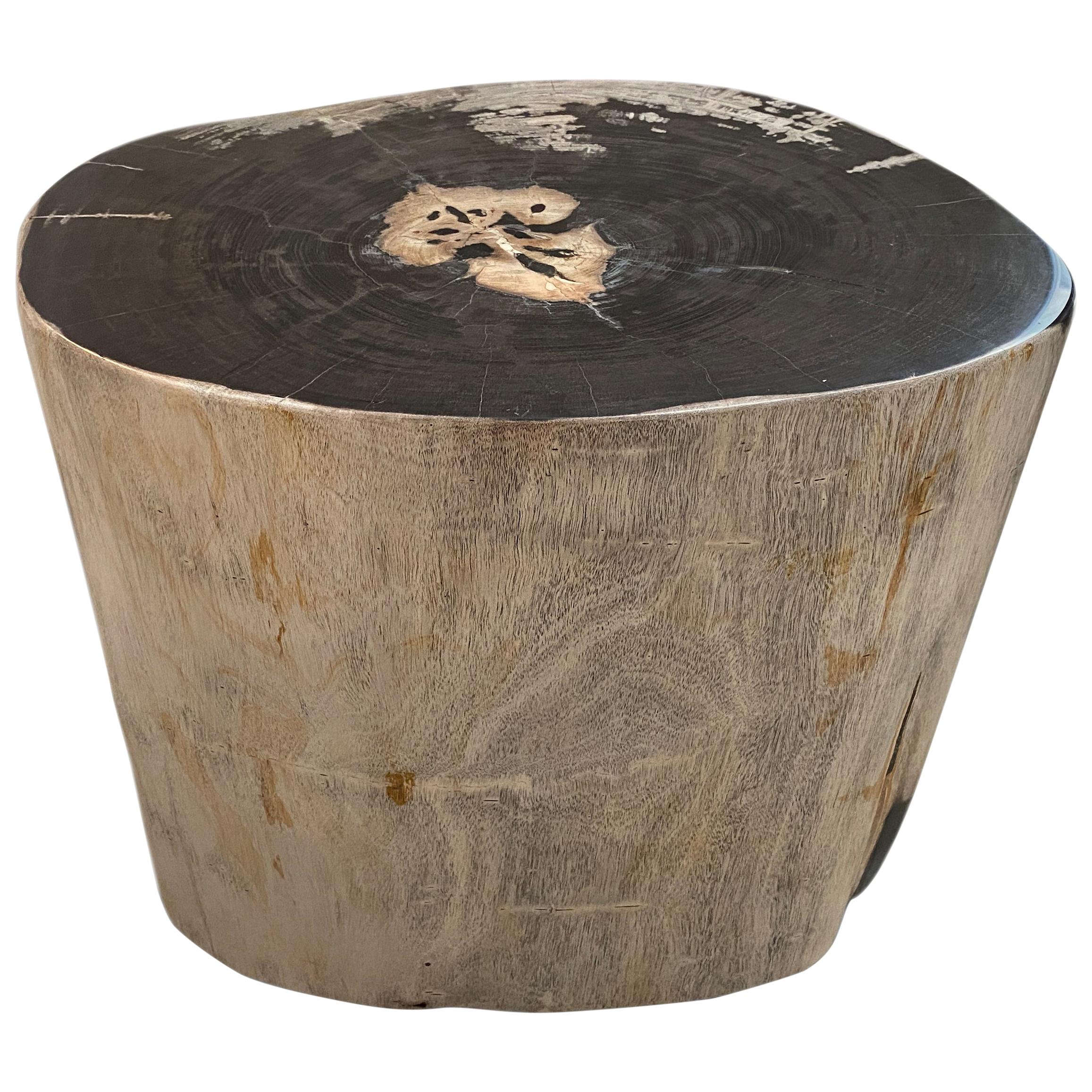 Andrianna Shamaris Impressive High Quality Petrified Wood Side Table