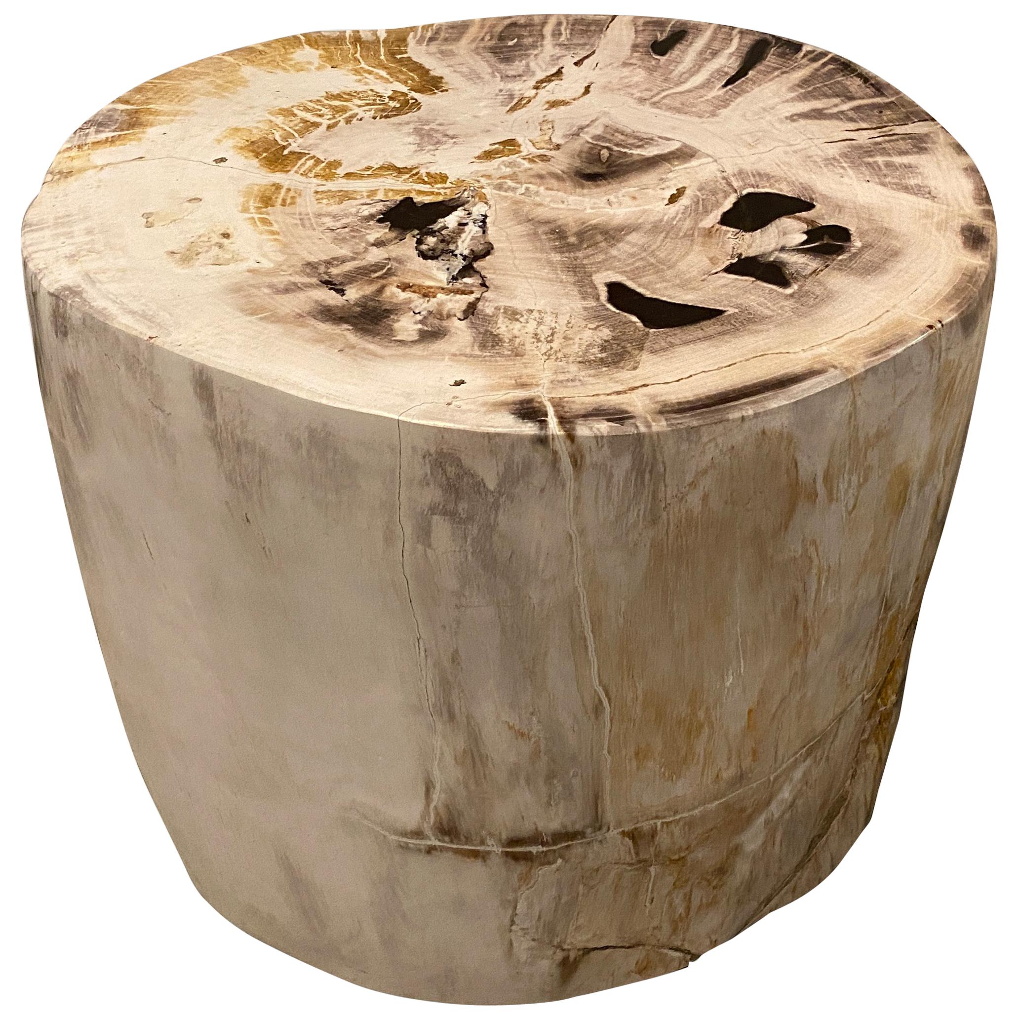 Andrianna Shamaris Impressive High Quality Petrified Wood Side Table