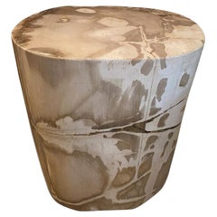 Antique Andrianna Shamaris Impressive High Quality Petrified Wood Side Table