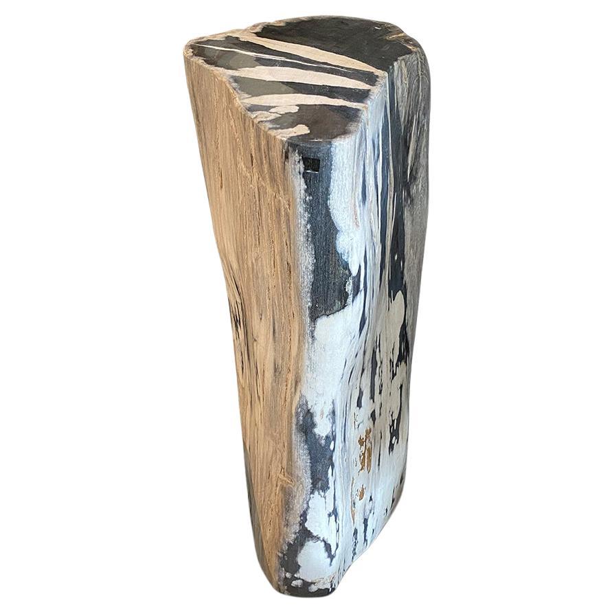 Andrianna Shamaris Impressive High Quality Petrified Wood Pedestal