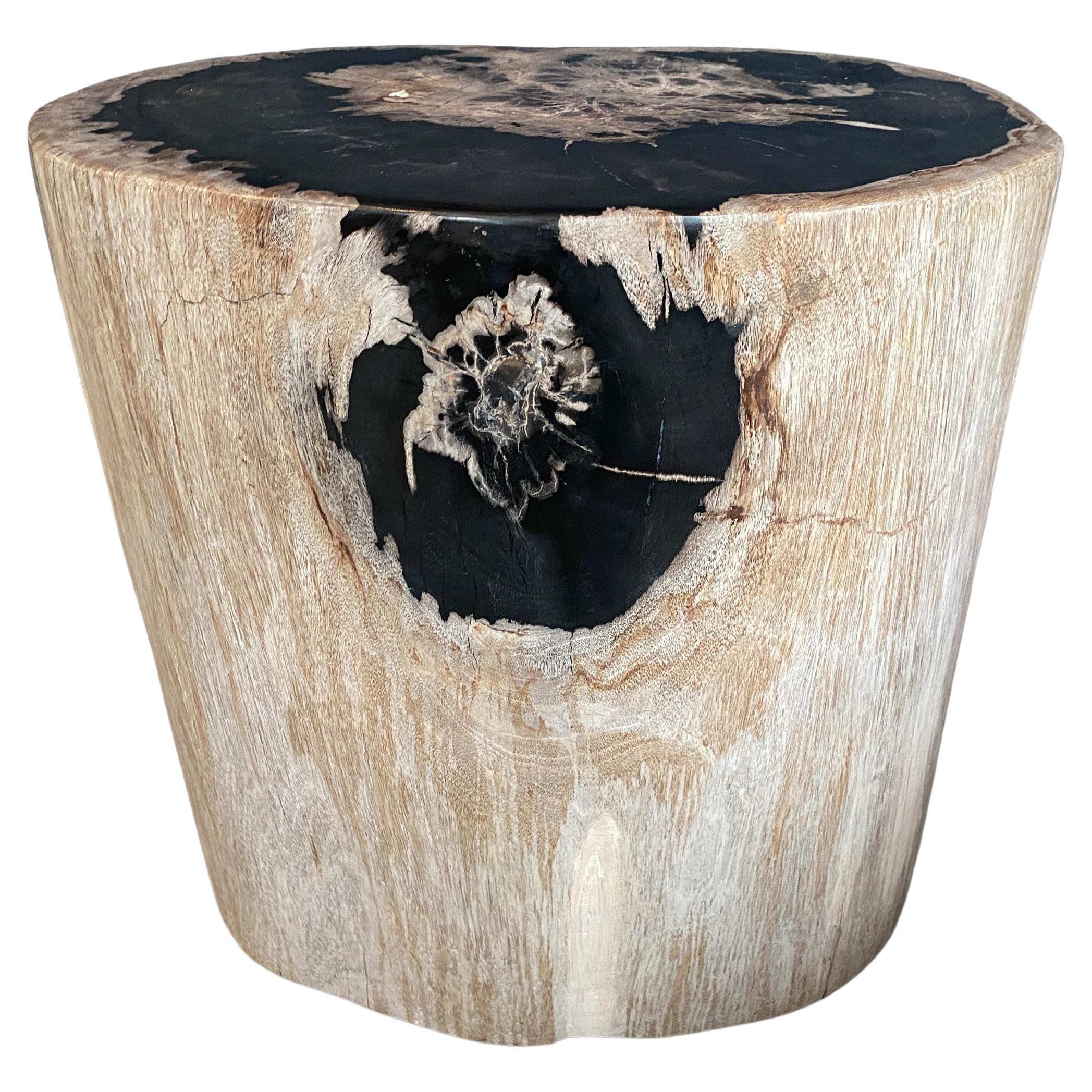 Andrianna Shamaris Impressive Tiger Toned High Quality Petrified Wood