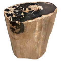 Antique Andrianna Shamaris Impressive High Quality Petrified Wood Side Table