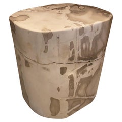 Andrianna Shamaris Impressive High Quality Petrified Wood Side Table