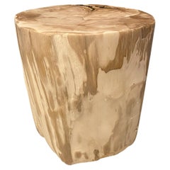 Andrianna Shamaris Impressive High Quality Petrified Wood Side Table
