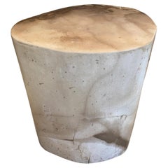 Andrianna Shamaris Impressive High Quality Petrified Wood Side Table