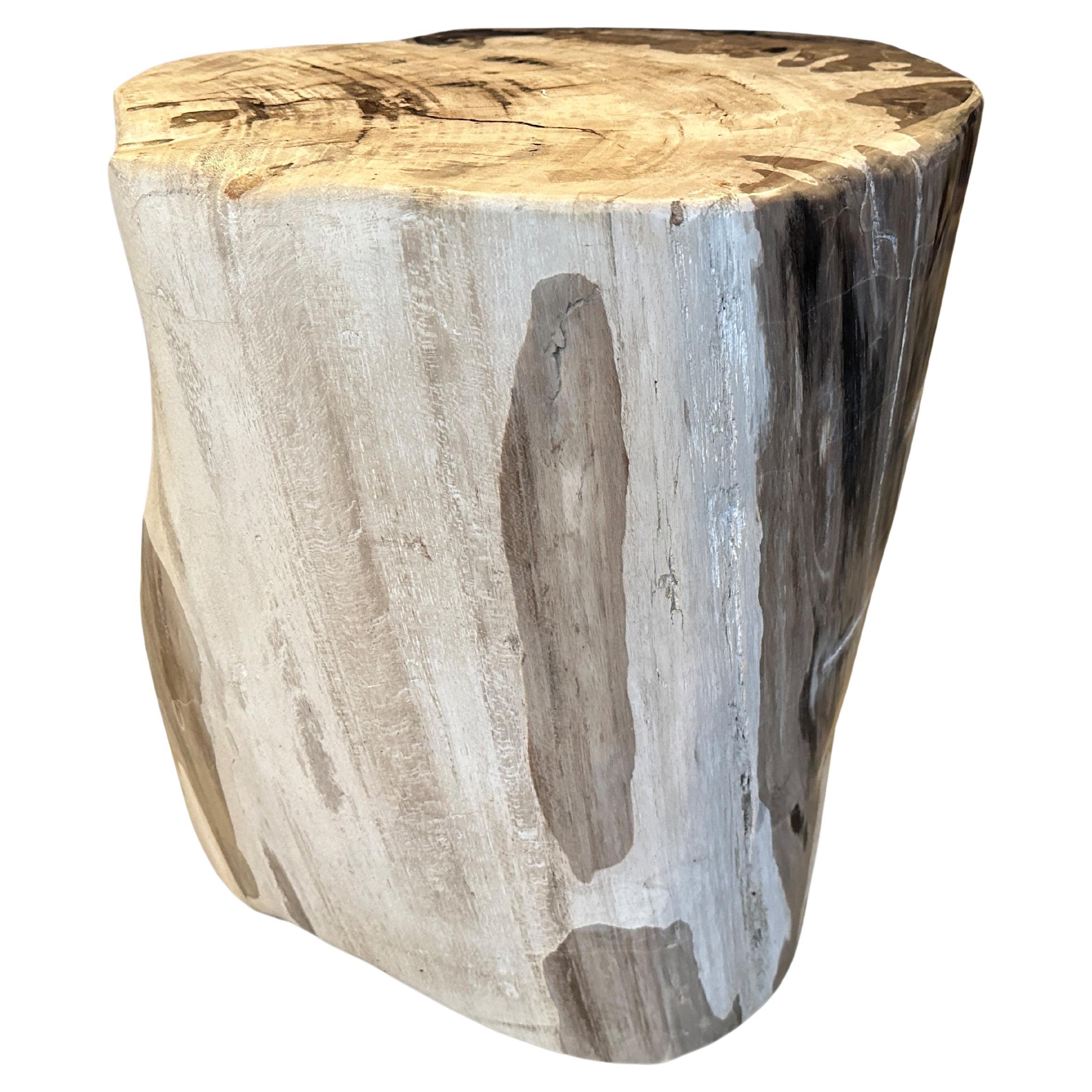 Andrianna Shamaris Impressive High Quality Petrified Wood Side Table