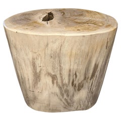 Andrianna Shamaris Impressive High Quality Petrified Wood Side Table