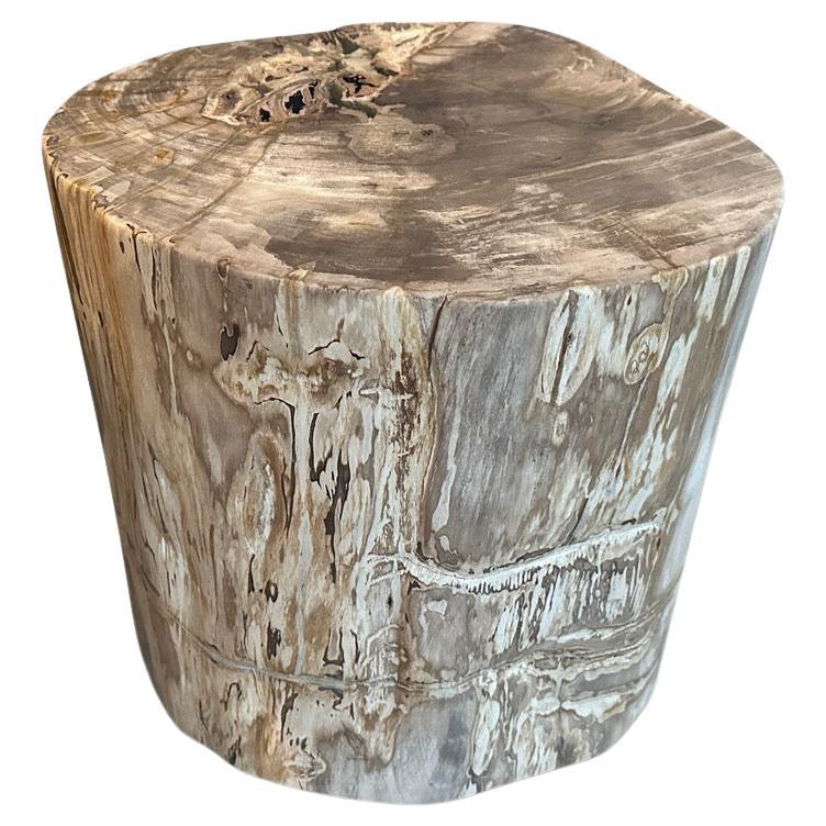 Andrianna Shamaris Impressive High Quality Petrified Wood Side Table