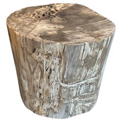 Andrianna Shamaris Impressive High Quality Petrified Wood Side Table