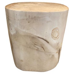 Impressionnante table d'appoint Andrianna Shamaris en bois pétrifié de haute qualité