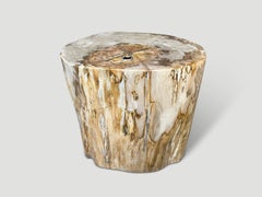 Andrianna Shamaris Impressive Large Petrified Wood Side Table