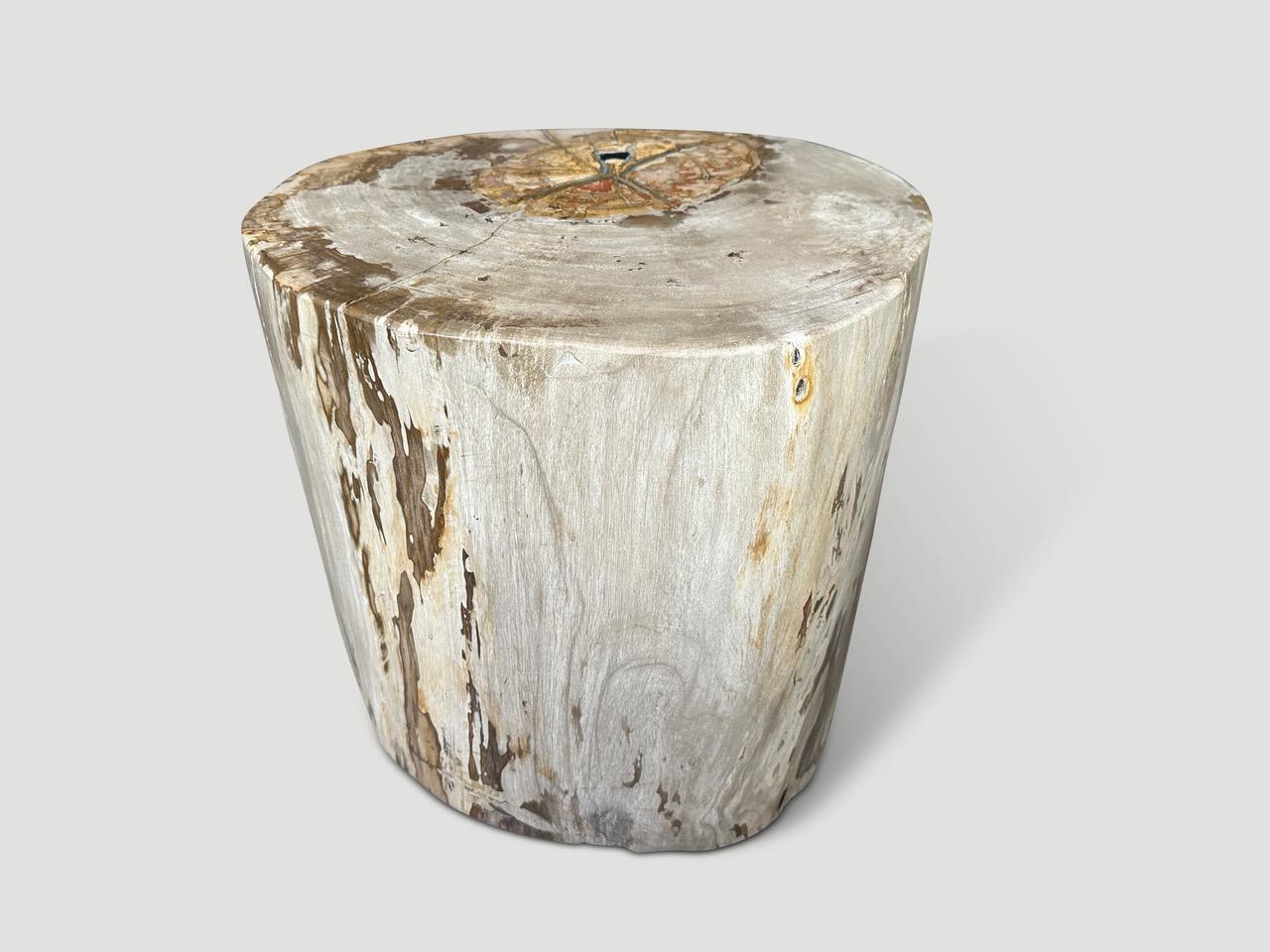 Organic Modern Andrianna Shamaris Impressive Large Petrified Wood Side Table For Sale