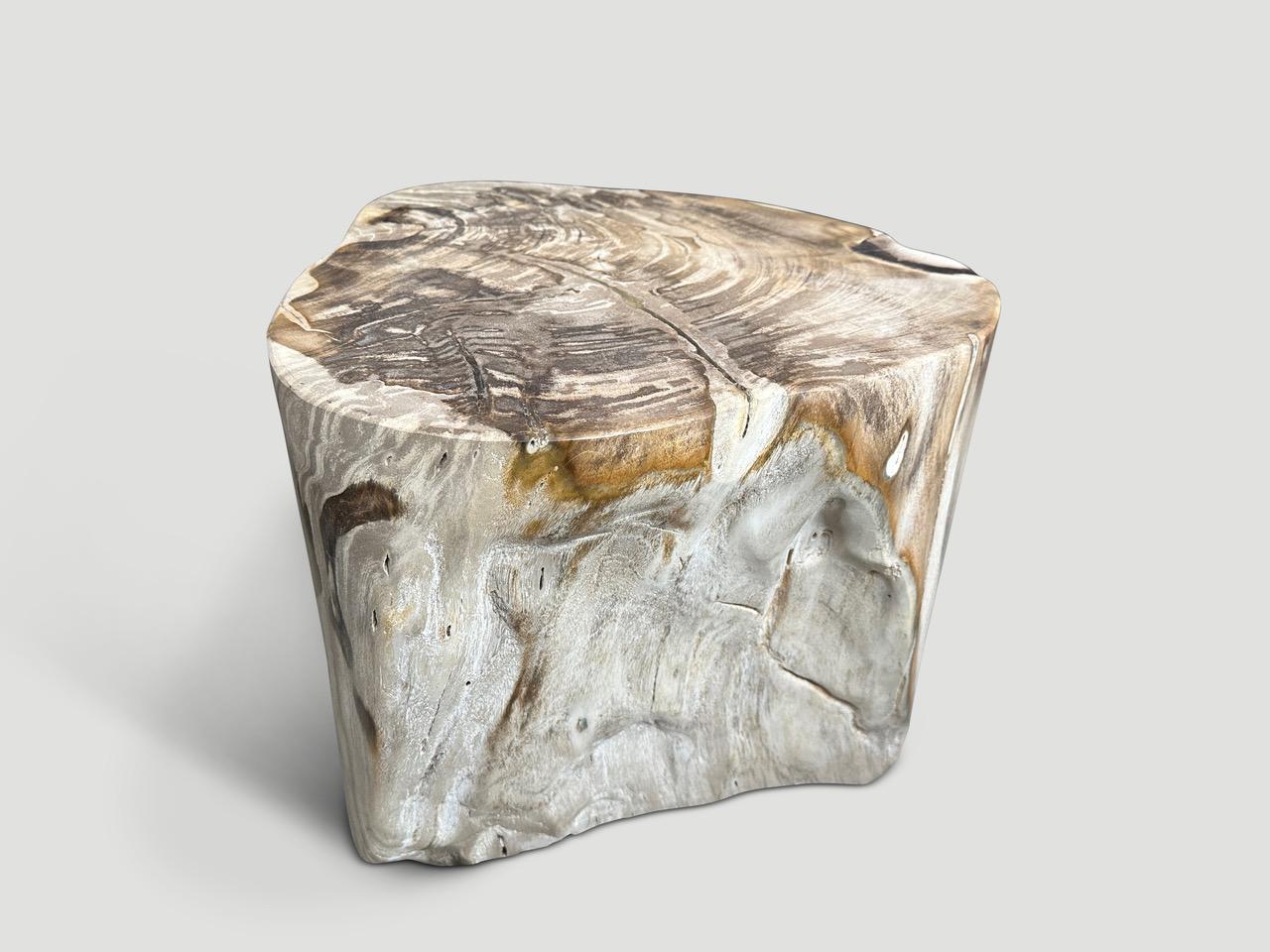 Organic Modern Andrianna Shamaris Impressive Large Petrified Wood Side Table For Sale