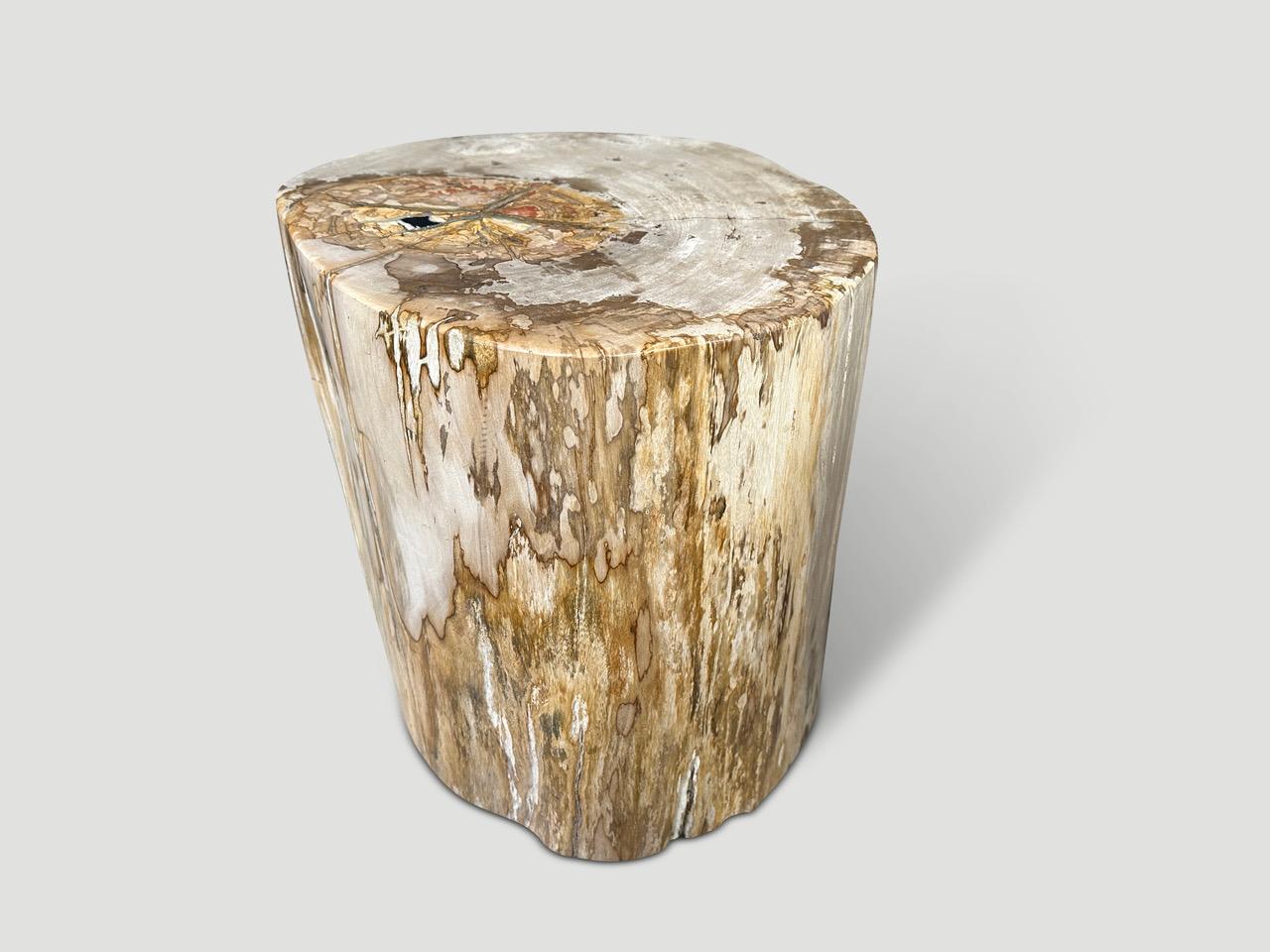Andrianna Shamaris Impressive Large Petrified Wood Side Table In Excellent Condition For Sale In New York, NY