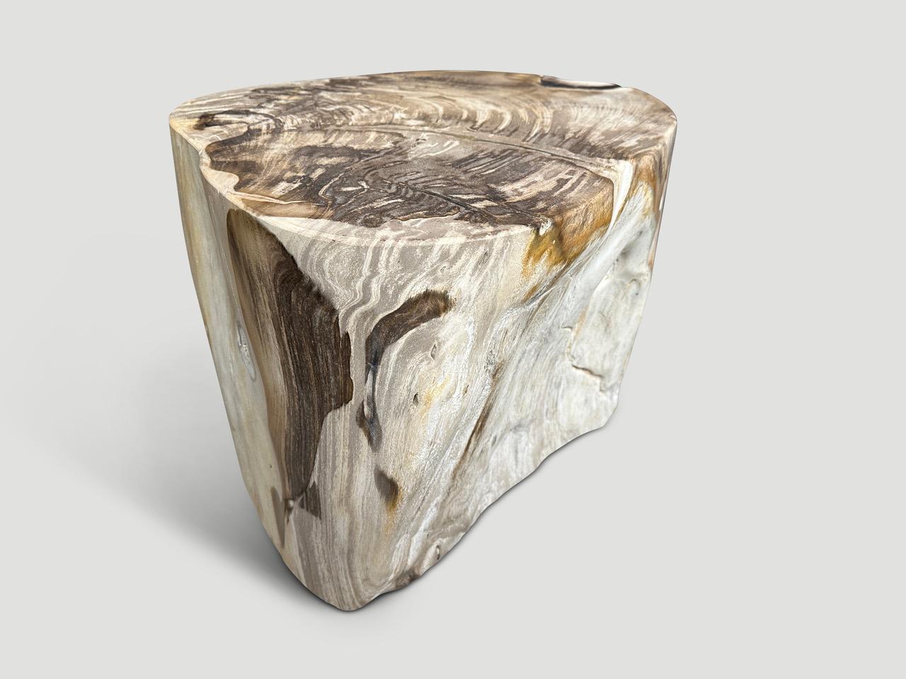Andrianna Shamaris Impressive Large Petrified Wood Side Table In Excellent Condition For Sale In New York, NY