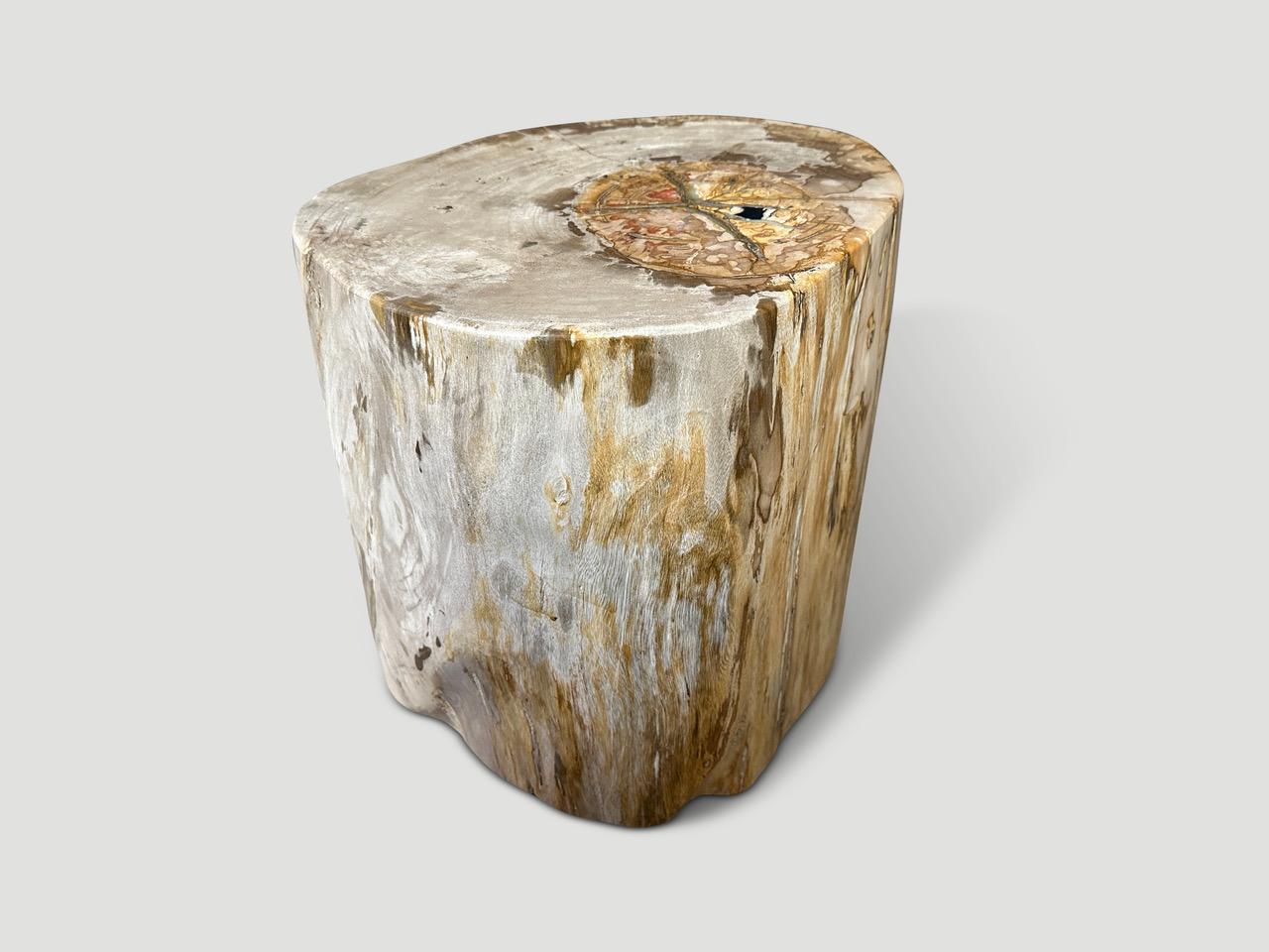 Contemporary Andrianna Shamaris Impressive Large Petrified Wood Side Table For Sale