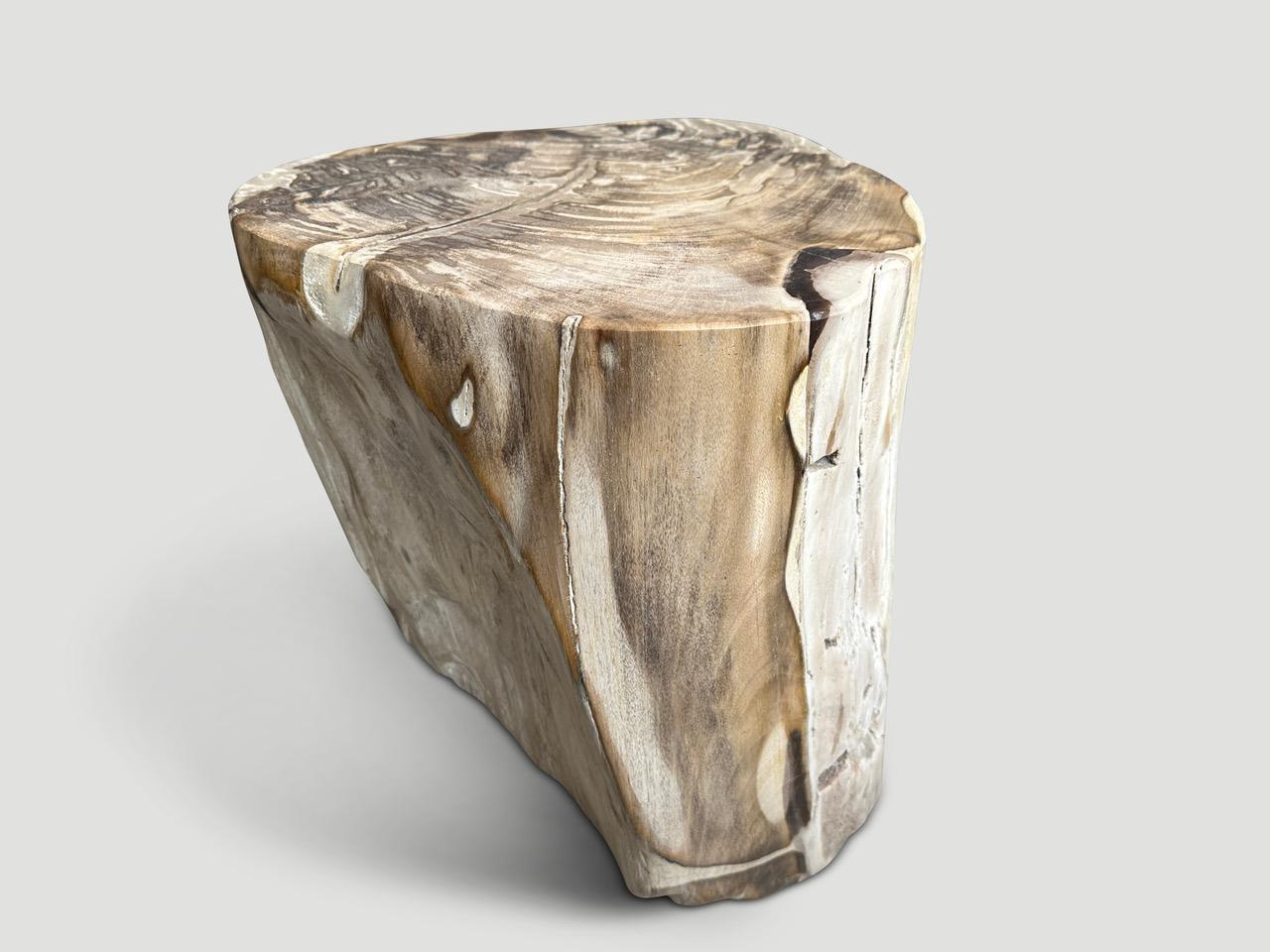 Contemporary Andrianna Shamaris Impressive Large Petrified Wood Side Table For Sale