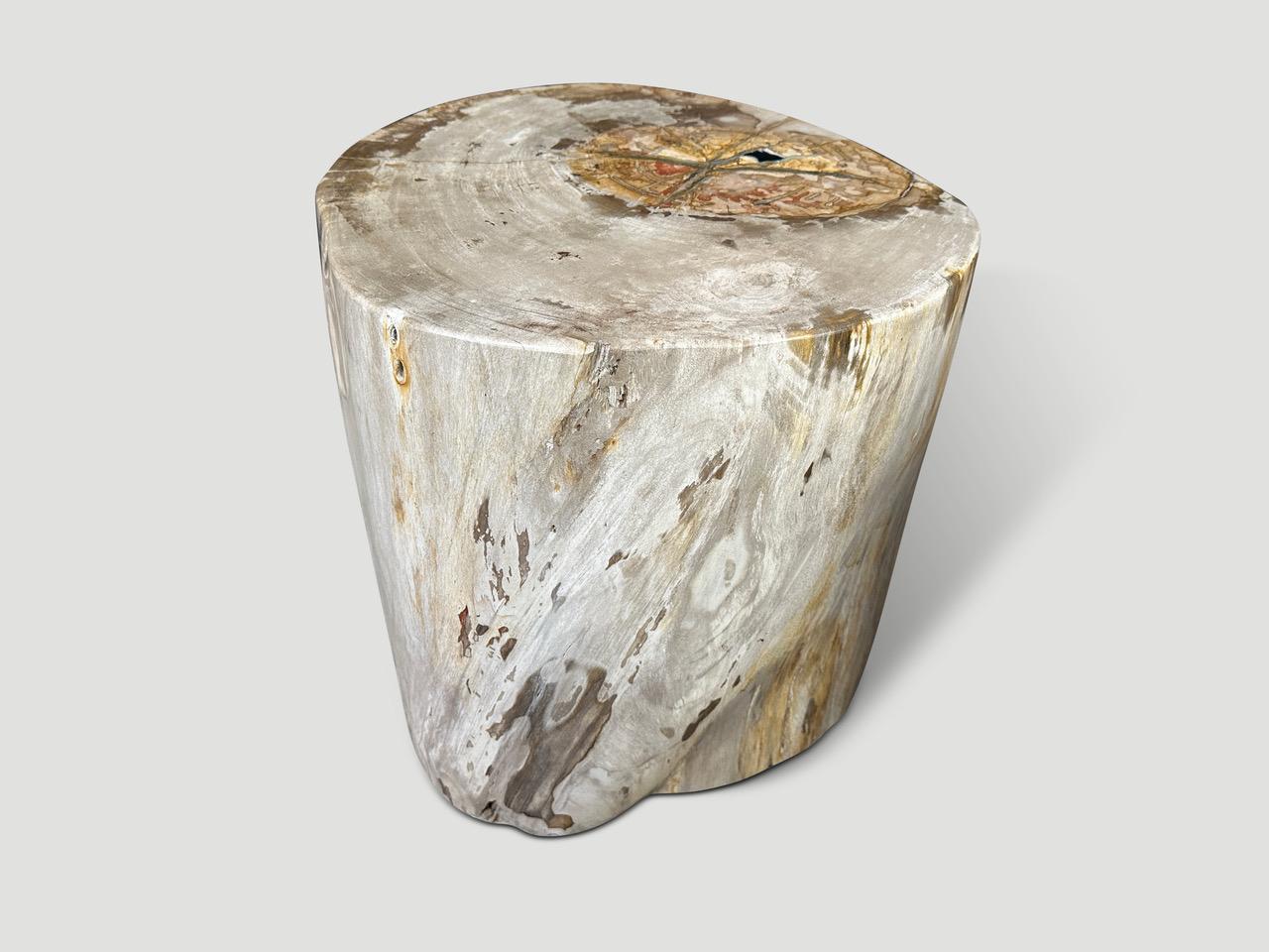 Andrianna Shamaris Impressive Large Petrified Wood Side Table For Sale 1