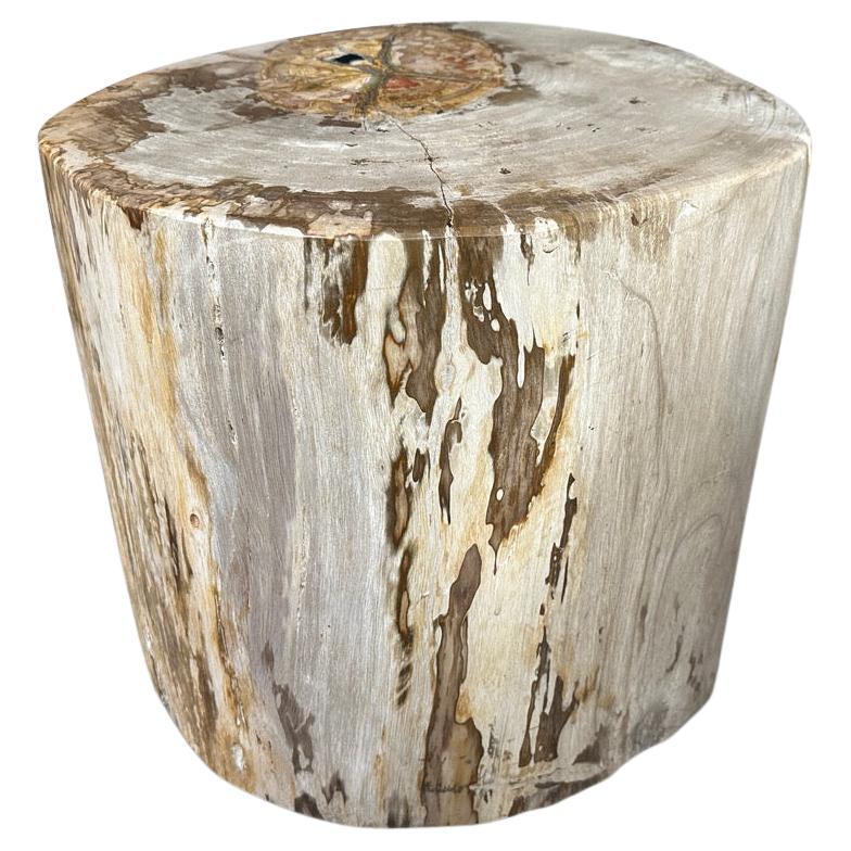 Andrianna Shamaris Impressive Large Petrified Wood Side Table For Sale