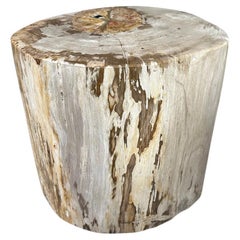 Andrianna Shamaris Impressive Large Petrified Wood Side Table