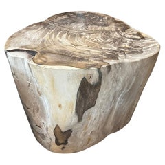 Andrianna Shamaris Impresionante mesa auxiliar grande de madera petrificada