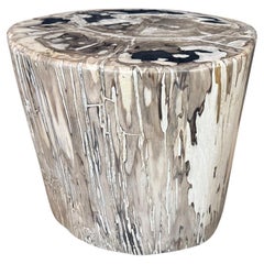 Andrianna Shamaris Impressive Large Petrified Wood Side Table
