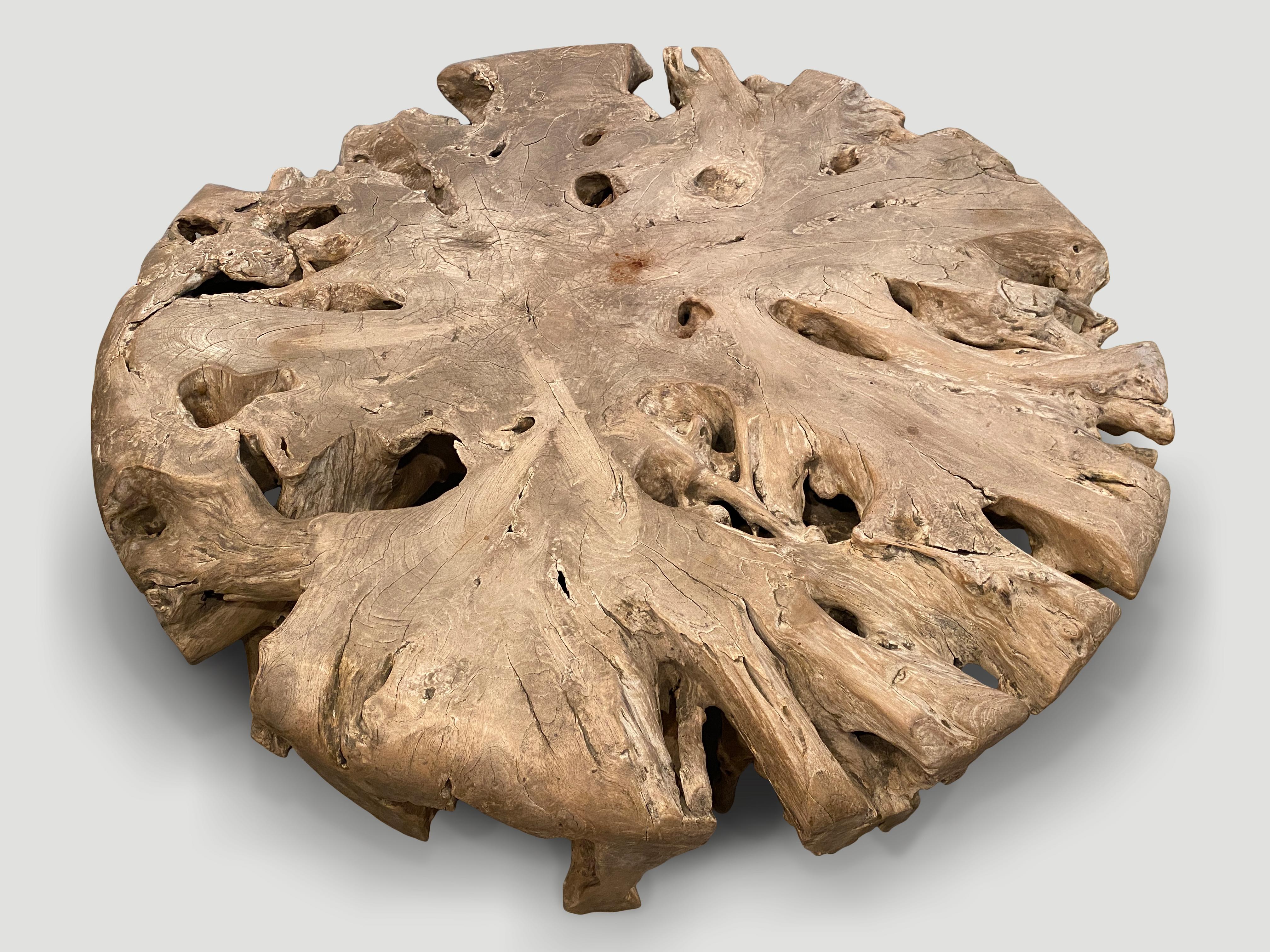 Andrianna Shamaris Impressive Large Teak Root Coffee Table In Excellent Condition For Sale In New York, NY