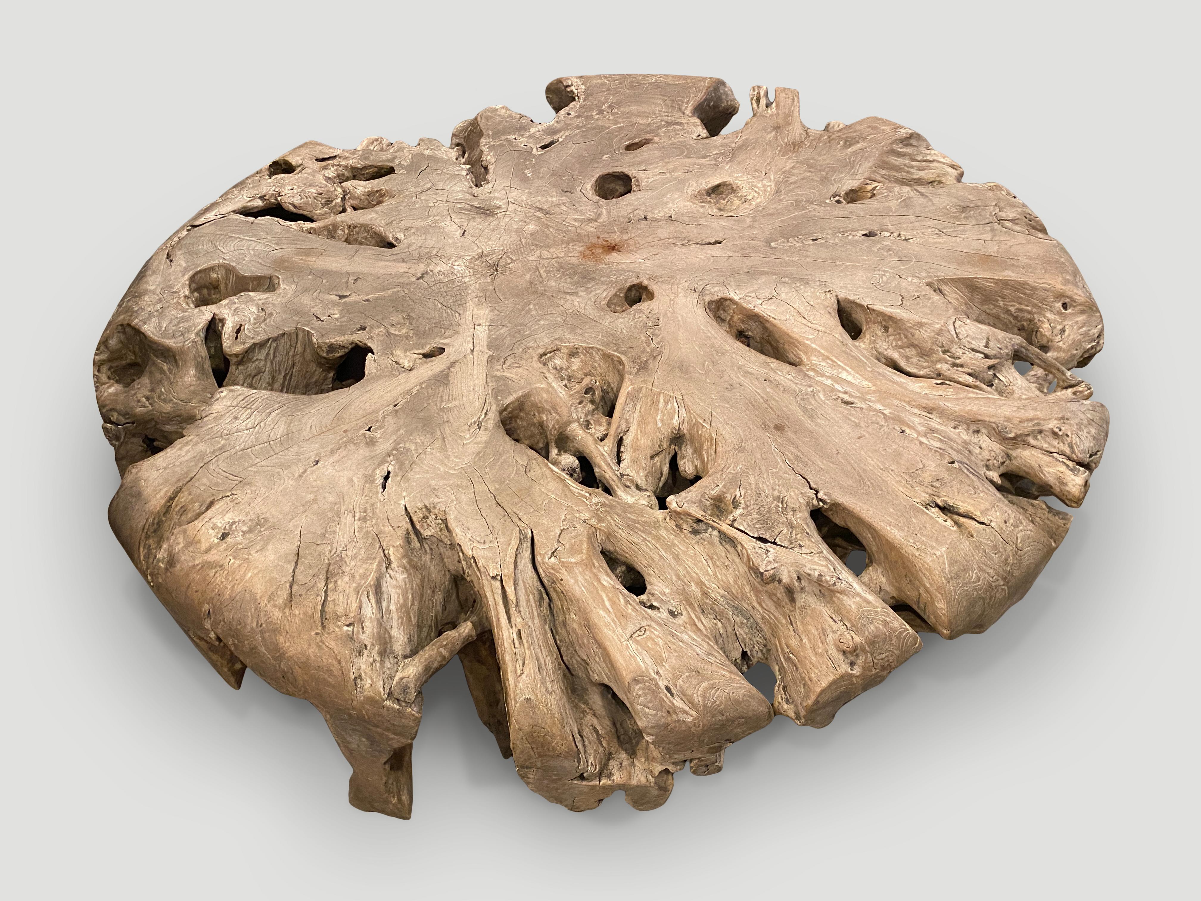 Contemporary Andrianna Shamaris Impressive Large Teak Root Coffee Table For Sale