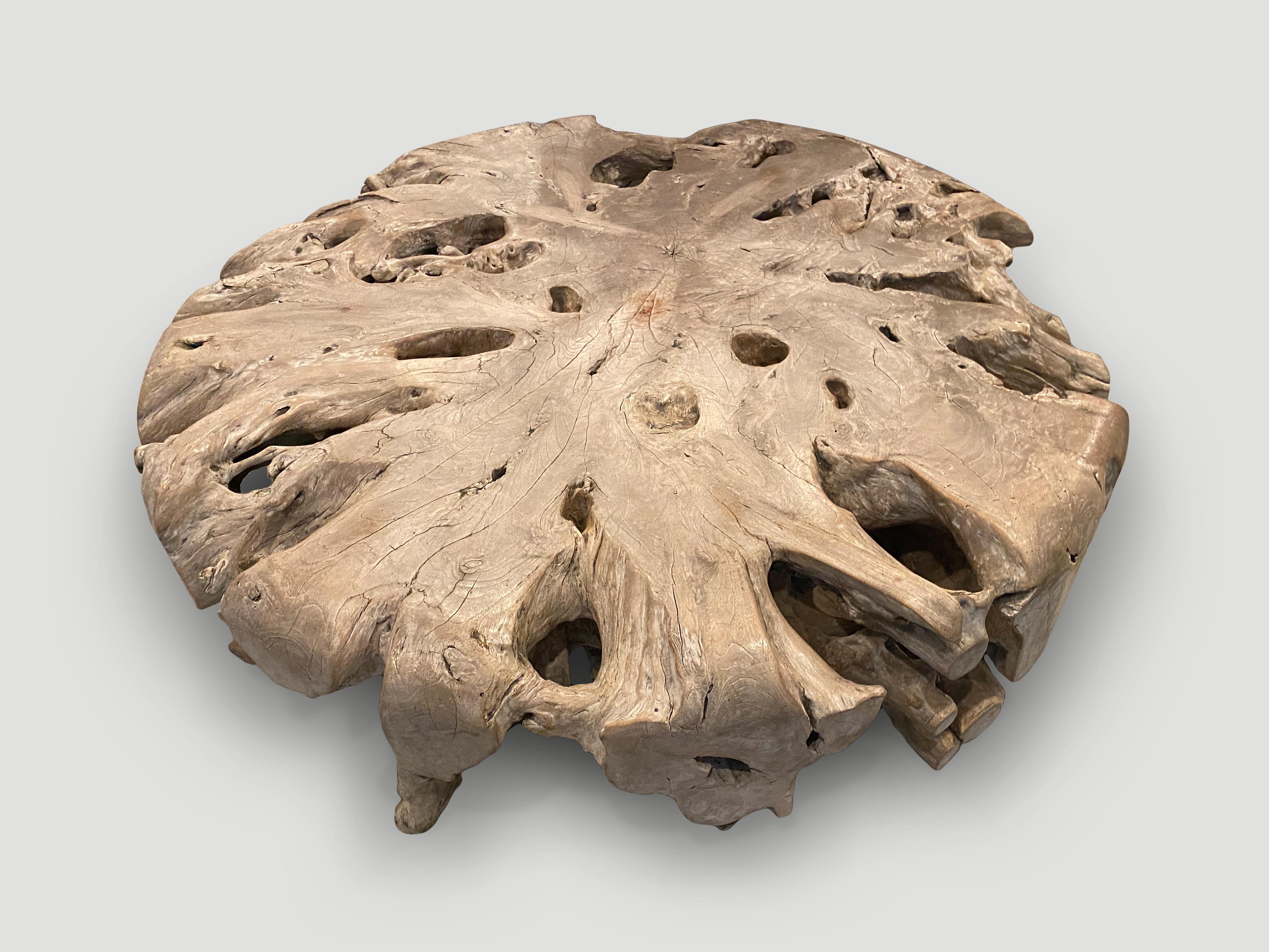 Wood Andrianna Shamaris Impressive Large Teak Root Coffee Table For Sale