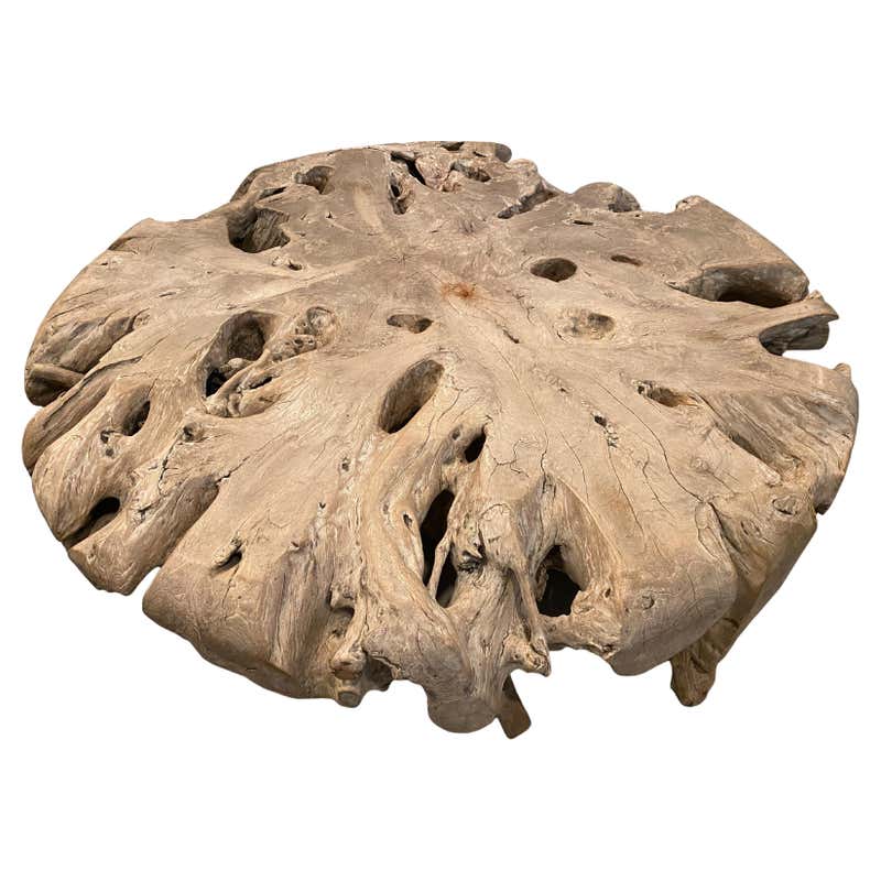 Impressive Mid-Century Modern Tree Root Coffee Table For Sale at ...