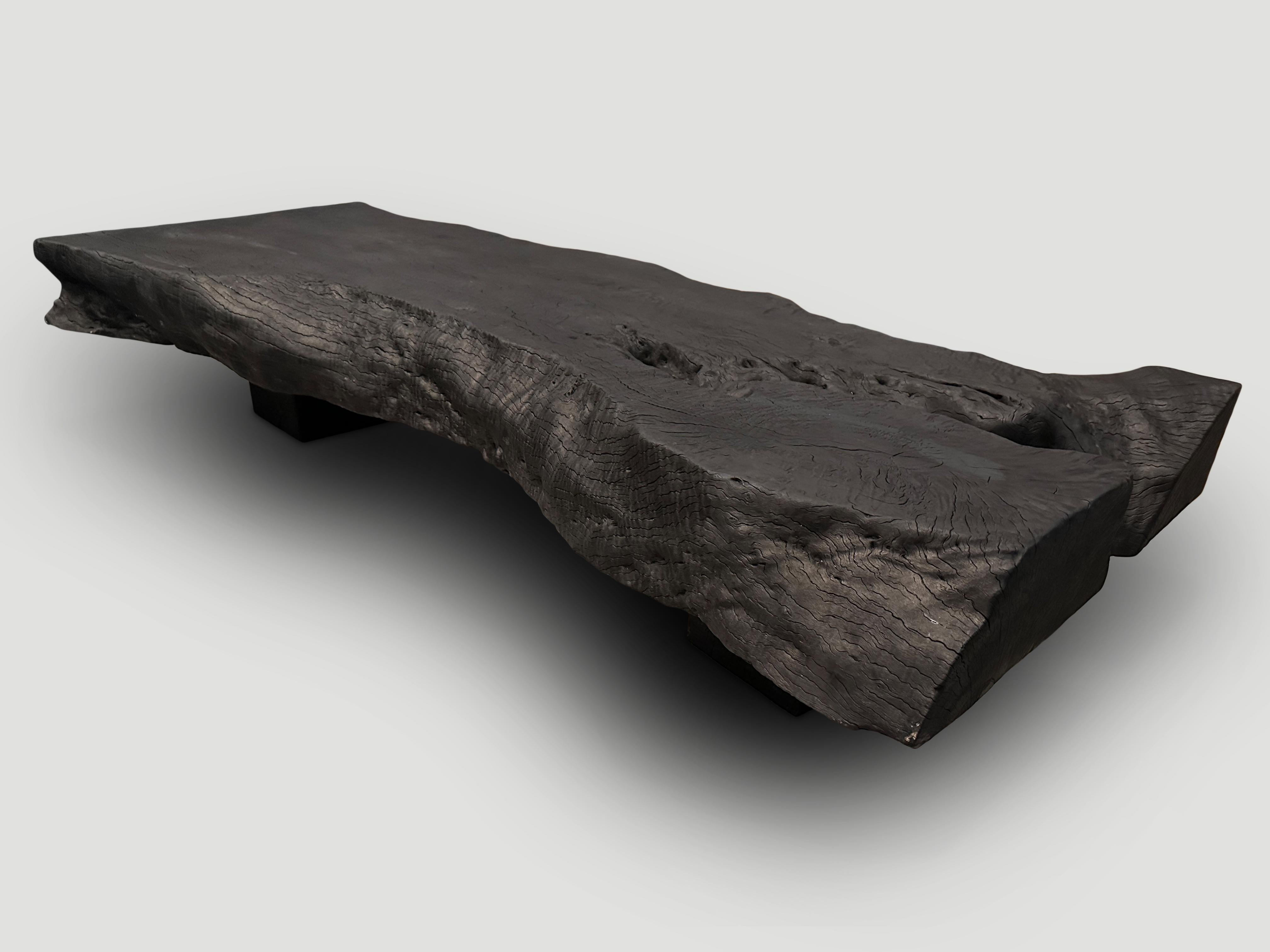 Organic Modern Andrianna Shamaris Impressive Live Edge Charred Coffee Table or Bench