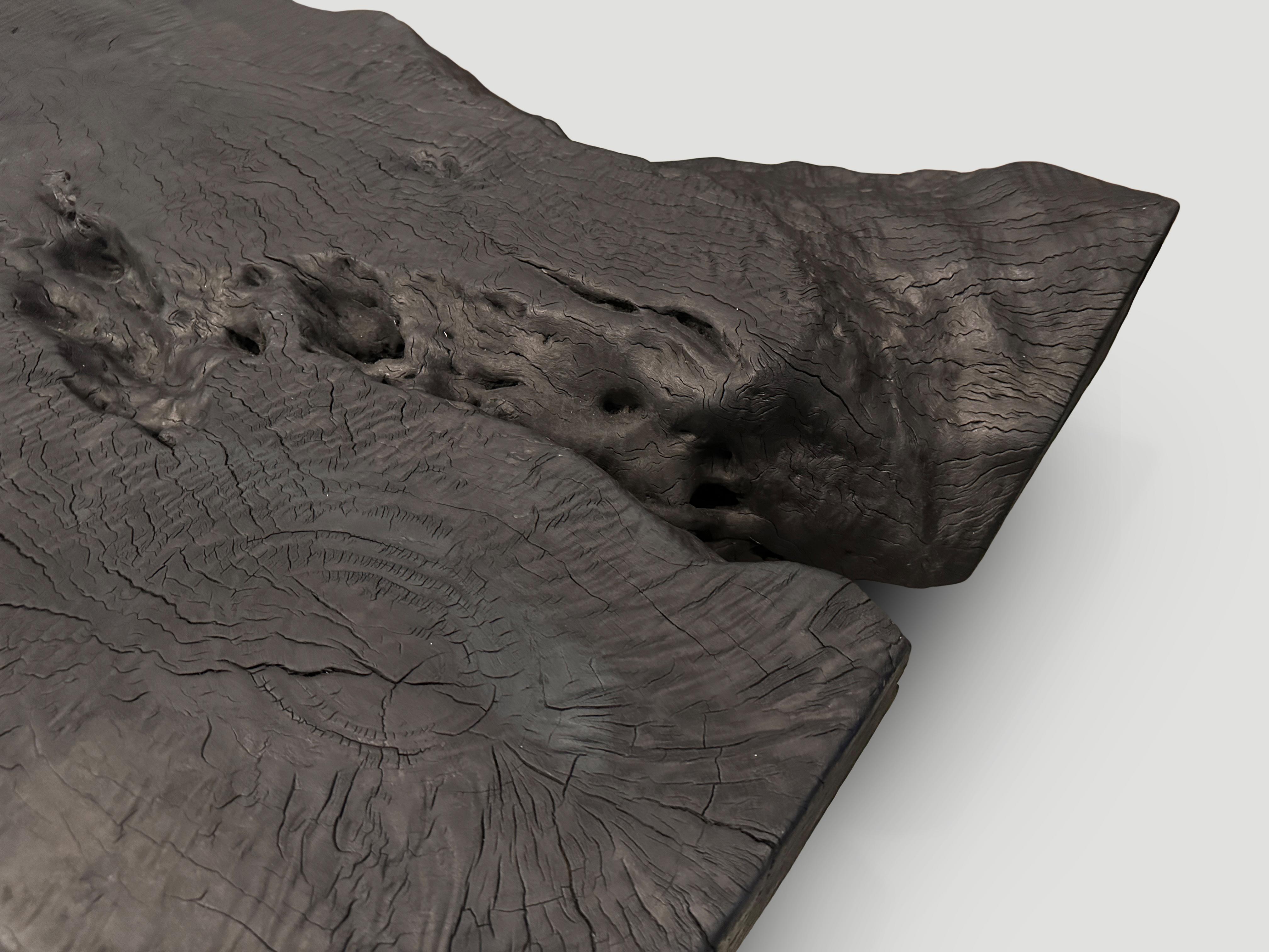 Andrianna Shamaris Impressive Live Edge Charred Coffee Table or Bench In Excellent Condition In New York, NY