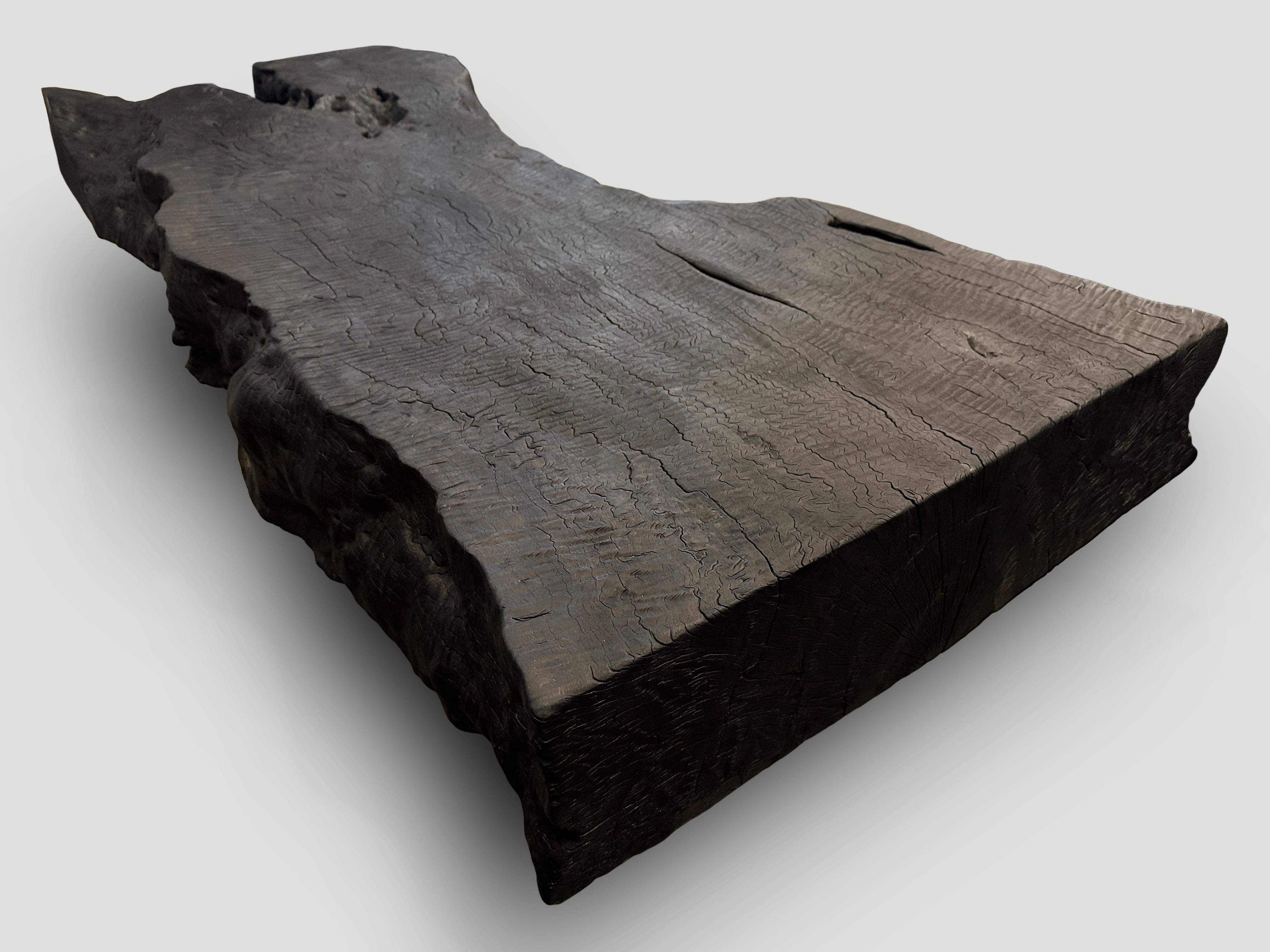 Contemporary Andrianna Shamaris Impressive Live Edge Charred Coffee Table or Bench