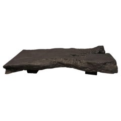 Andrianna Shamaris Impressive Live Edge Charred Coffee Table or Bench