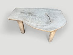 Andrianna Shamaris Impressive Milky Toned Coffee Table