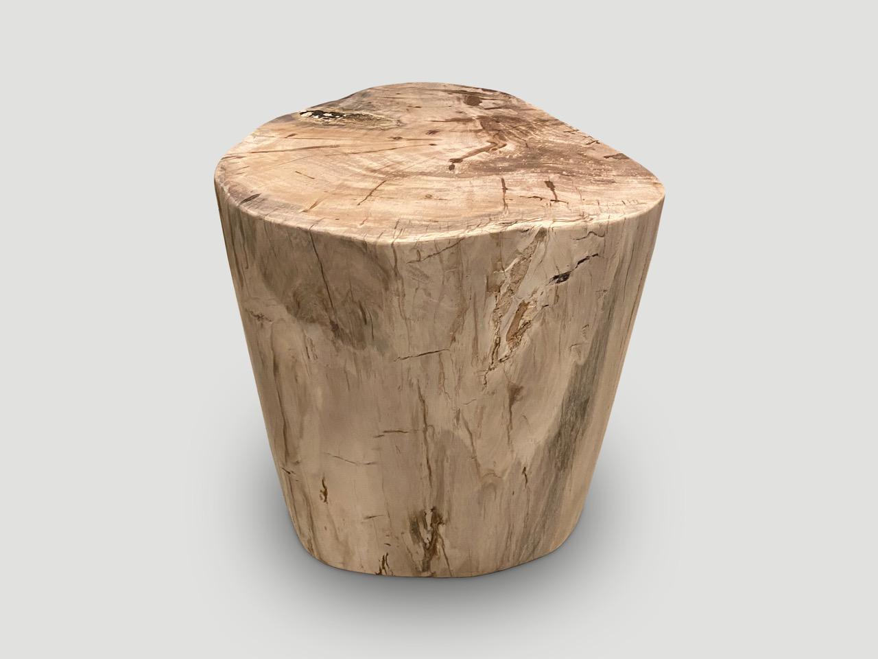 Andrianna Shamaris Impressive Minimalist Petrified Wood Side Table In Excellent Condition For Sale In New York, NY