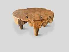 Andrianna Shamaris Impressive Modern Organic Teak Wood Coffee Table