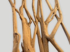 Andrianna Shamaris Impresionante escultura monumental de árbol de madera Ficus