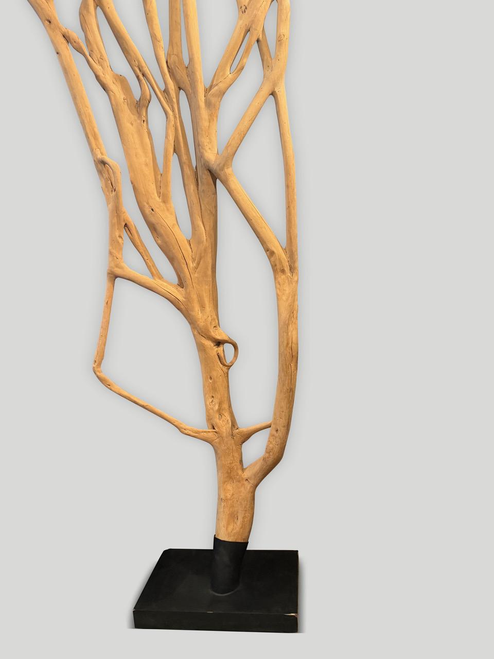 Indonesian Andrianna Shamaris Impressive Monumental Ficus Wood Tree Sculpture For Sale