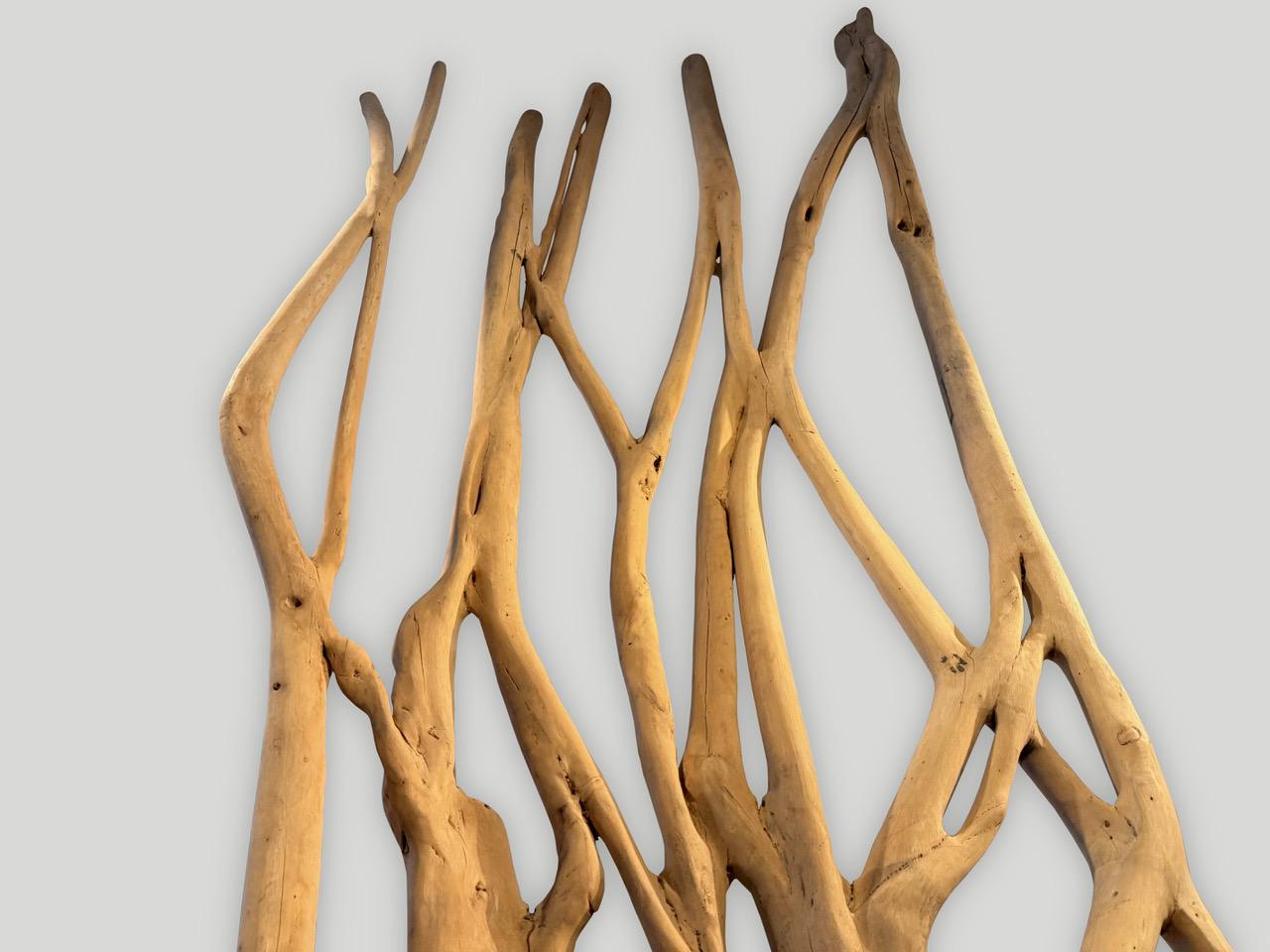 Andrianna Shamaris Impressive Monumental Ficus Wood Tree Sculpture In Excellent Condition For Sale In New York, NY