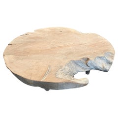 Andrianna Shamaris Impressive Organic Round Teak Wood Coffee Table