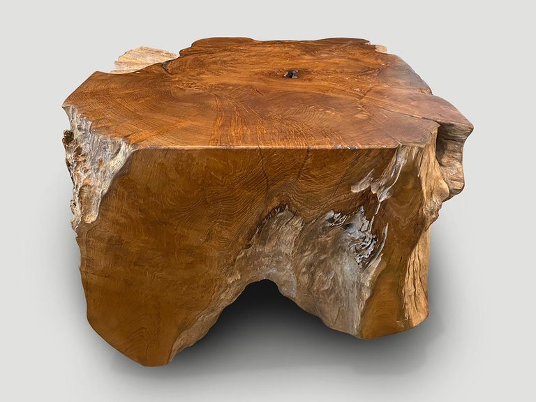 Impressive reclaimed teak root pedestal or oversized side table. Hand carved into this usable shape whilst respecting the natural organic wood. We polished the flat sections with a natural oil finish revealing the beautiful wood grain. The more
