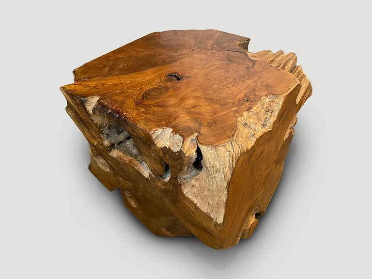 Wood Andrianna Shamaris Impressive Organic Teak Pedestal or Side Table For Sale