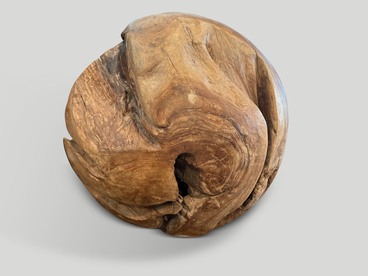 Organic Modern Andrianna Shamaris Impressive Organic Teak Root Sculptural Sphere