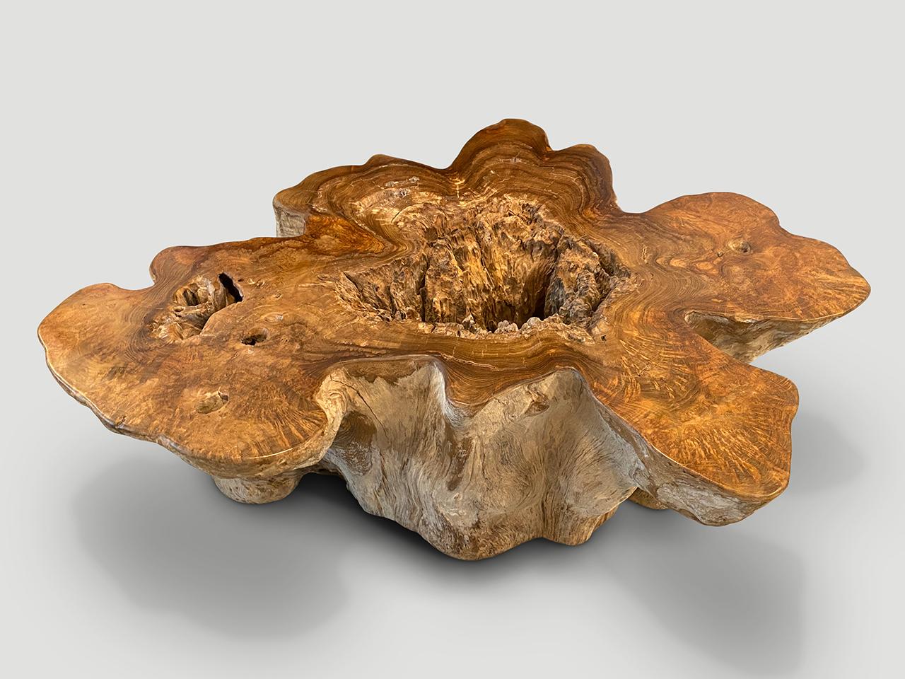 Impressive reclaimed teak root coffee hand carved into this usable shape whilst respecting the natural organic wood. We polished the top with a natural oil finish revealing the beautiful wood grain. The sides are sanded and left raw in contrast. The