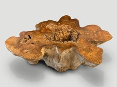 Andrianna Shamaris Impressive Organic Teak Wood Coffee Table