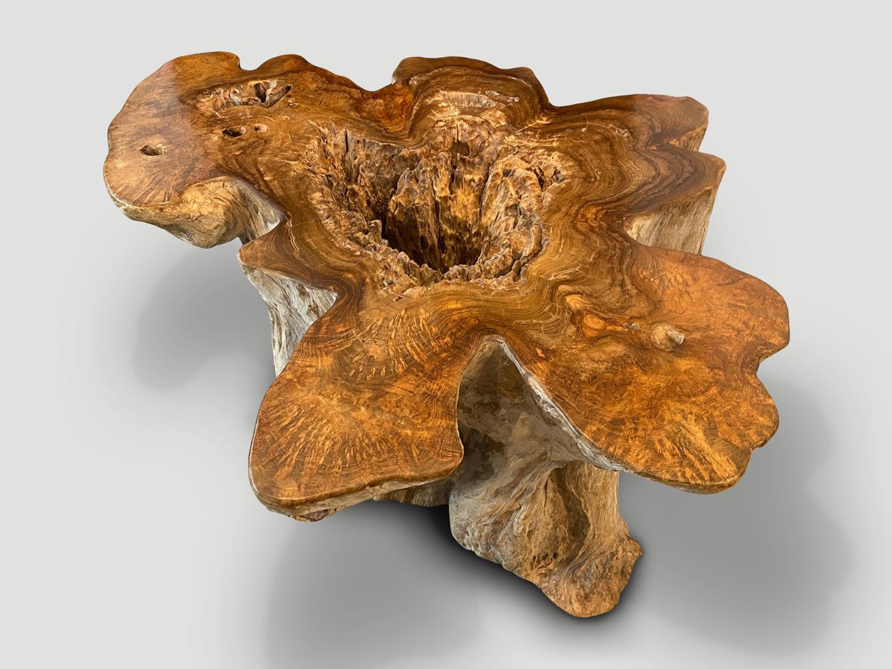 Andrianna Shamaris Impressive Organic Teak Wood Coffee Table In Excellent Condition For Sale In New York, NY